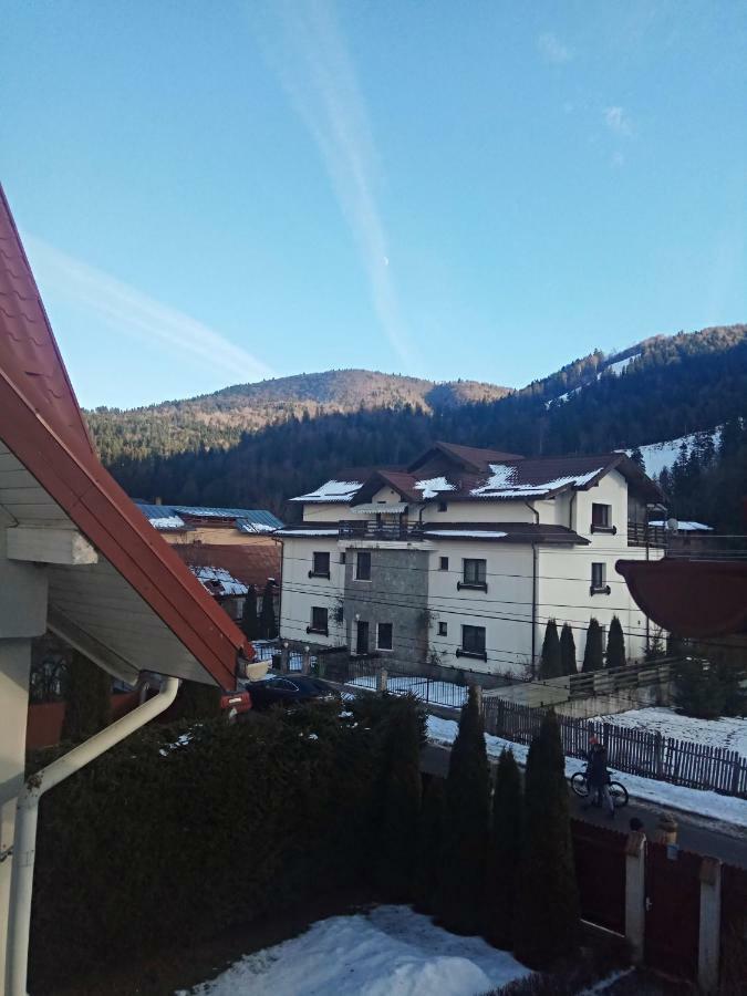 Hotel Casa Alexandru Azuga Exterior foto